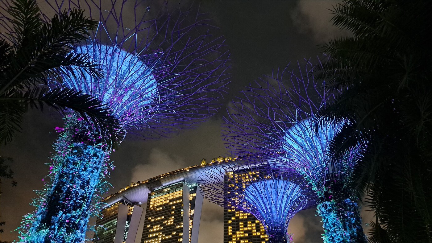 Illuminated Supertrees frame Marina Bay Sands after dark (photographed in 2023)