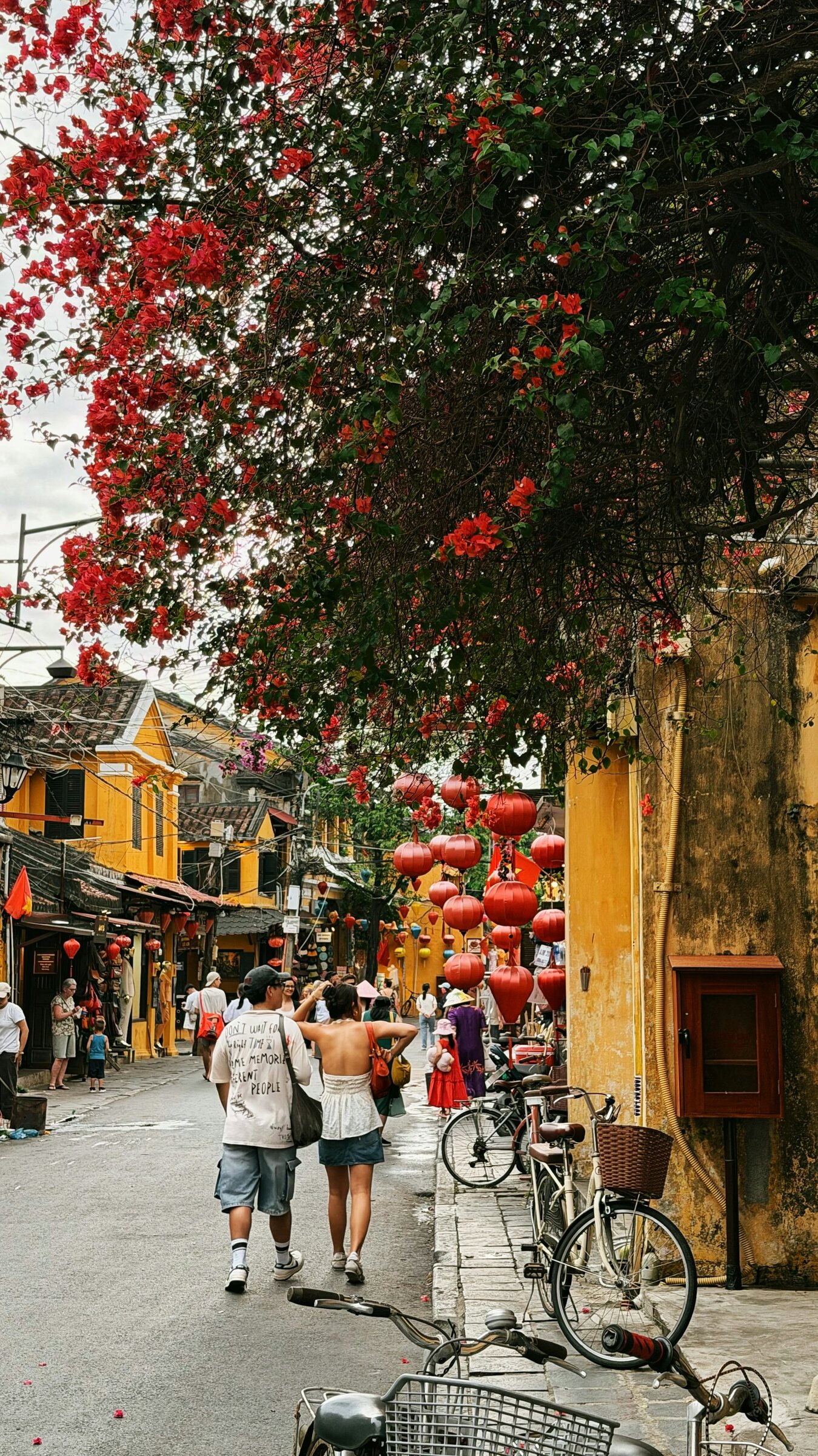 Hoi An's Old Town, explored close to the base on departure morning.