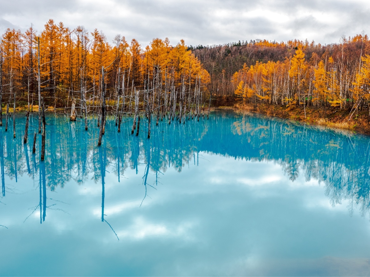 Biei's Blue Pond. Its colour varies with light and season.