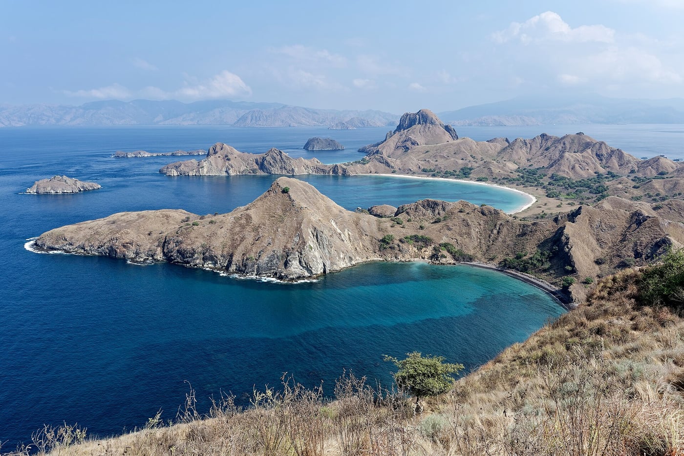 Curving bays and ridges seen from a viewpoint on Padar Island, photographed in 2025