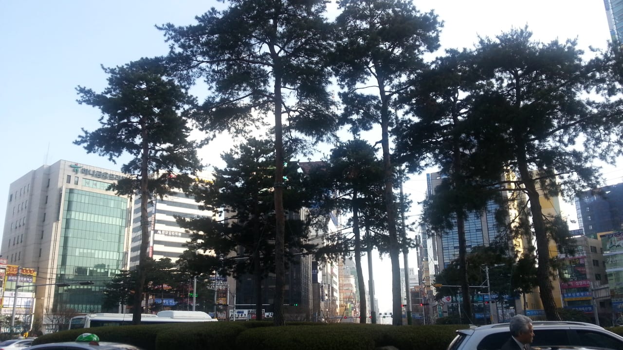 Seomyeon intersection and surrounding central Busan