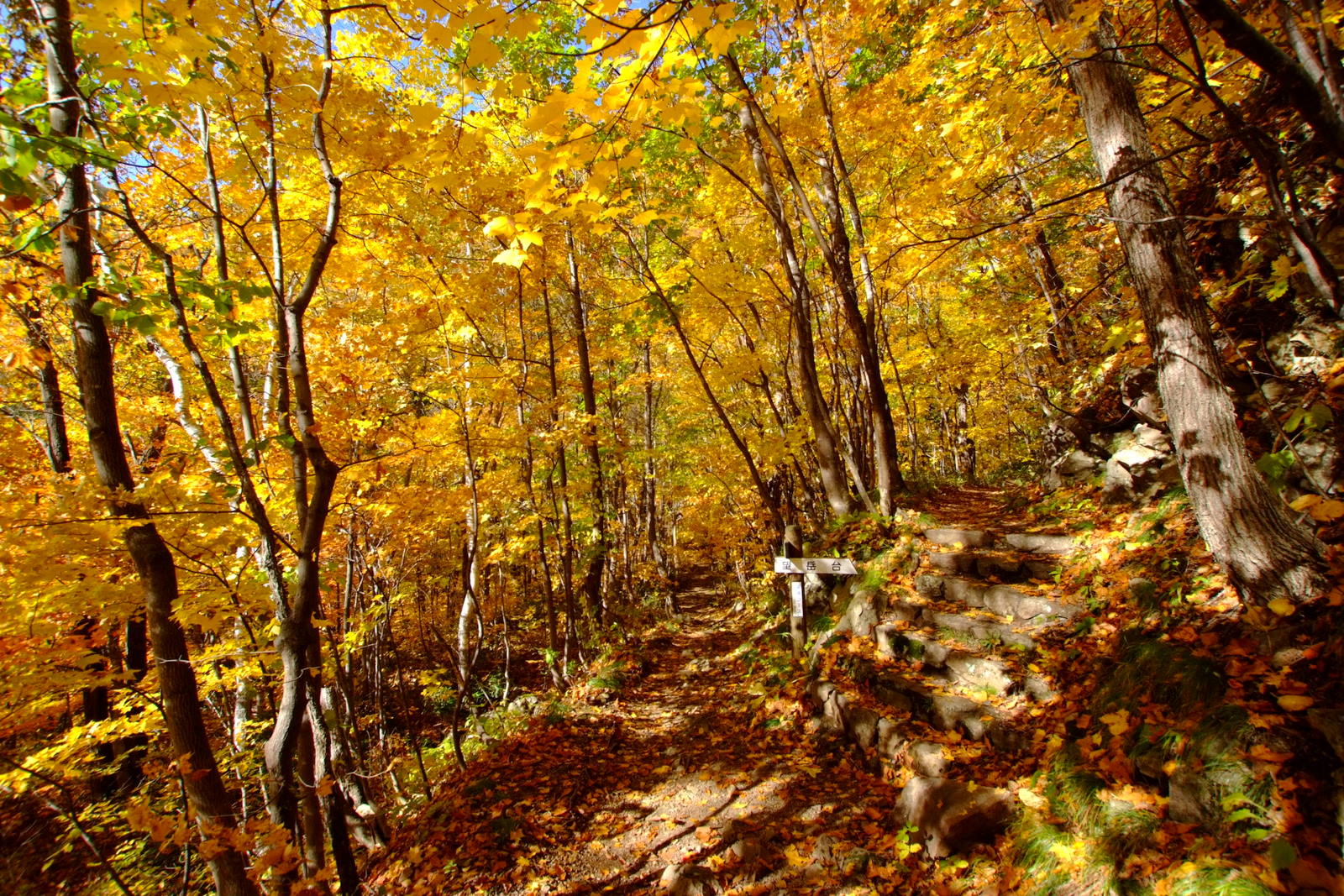 The valley scenery of Jozankei. Autumn colour varies with the date of your visit.