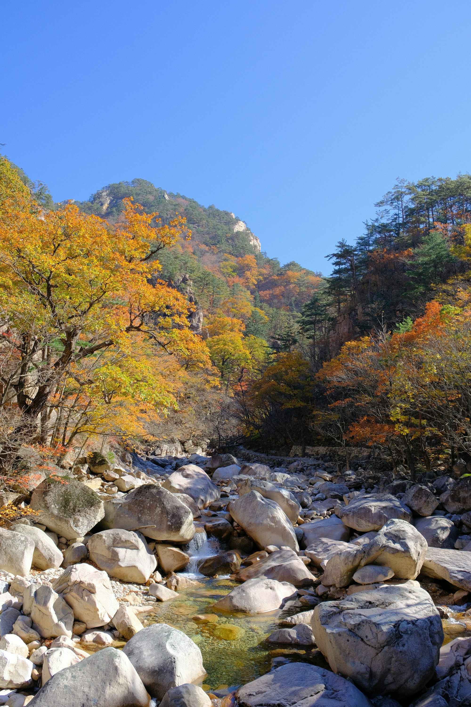 An autumn stream among boulders in Seoraksan National Park
