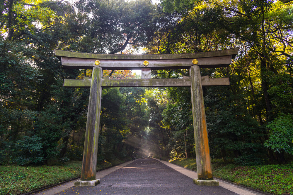 The wooded shrine grounds of Meiji Jingu.